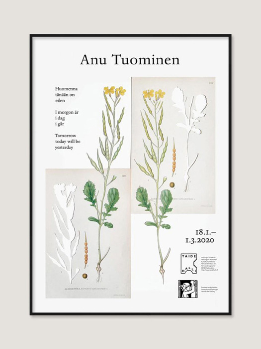 [아누 투오미넨] Plants (액자 포함) 50 x 70 cm