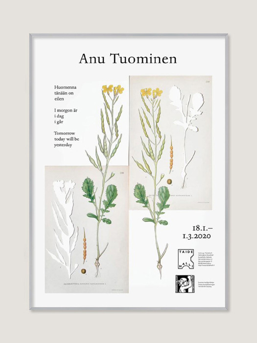 [아누 투오미넨] Plants (액자 포함) 50 x 70 cm
