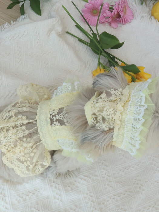 Tinker Bell Lace Cape