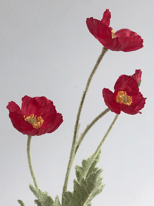 인테리어 감성 조화 양귀비 꽃