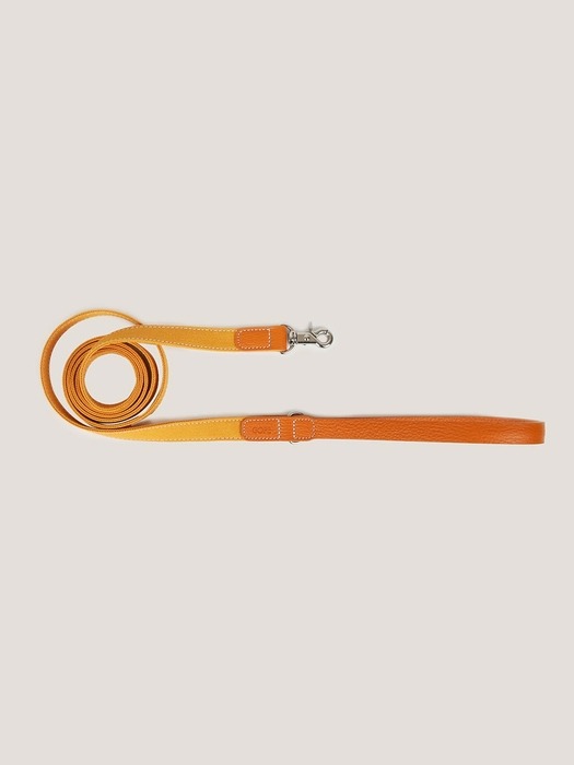 GOPE Texture Dog Leash OROR