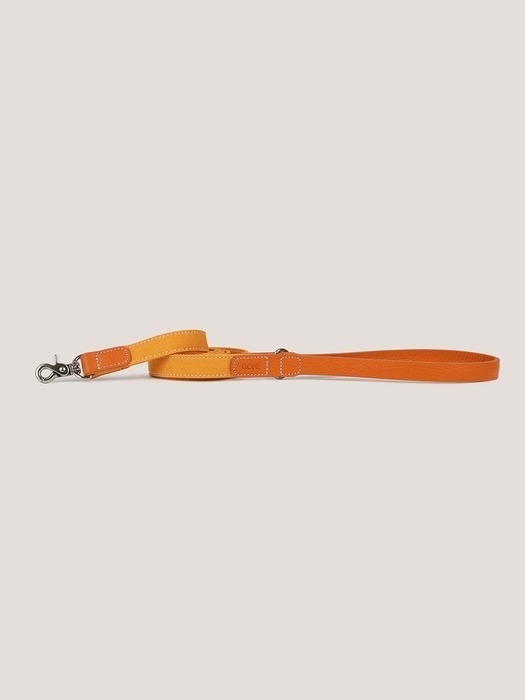 GOPE Texture Dog Leash OROR