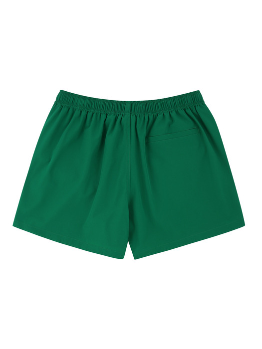 EMERALD MENS SWIM SHORTS