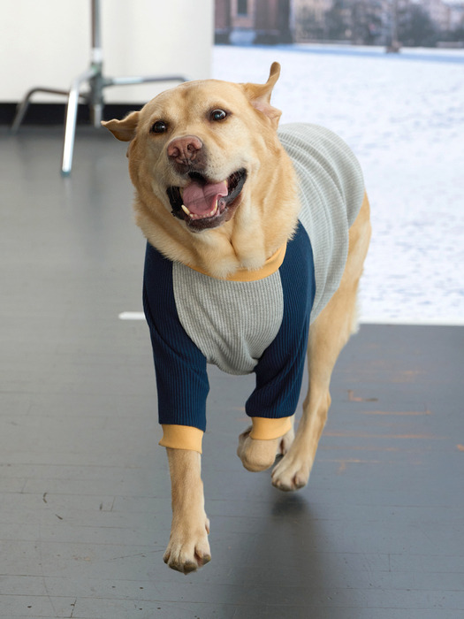 Salted Pretzel Pullover : Gray