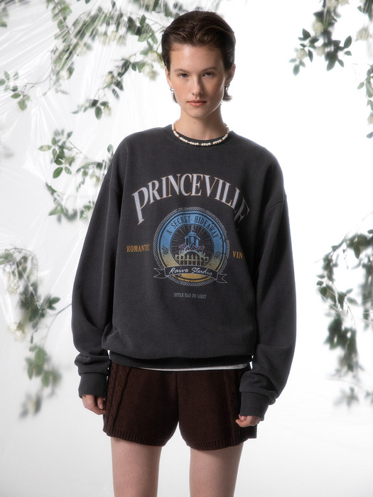 PRINCEVILLE Sweatshirt in D/Grey VW2AE337-13