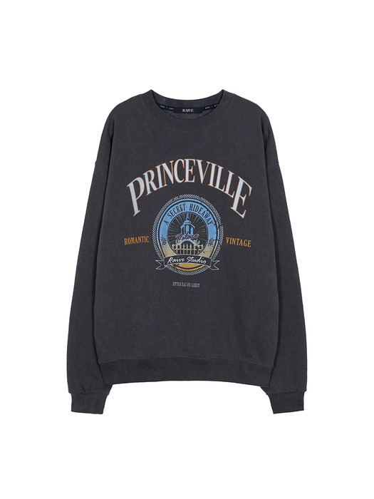 PRINCEVILLE Sweatshirt in D/Grey VW2AE337-13