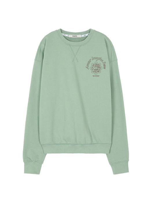 Rose Print Sweatshirt in Mint VW1WE143-31