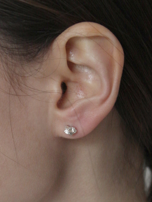 [Silver925] TNH013 Harmony of stone earring