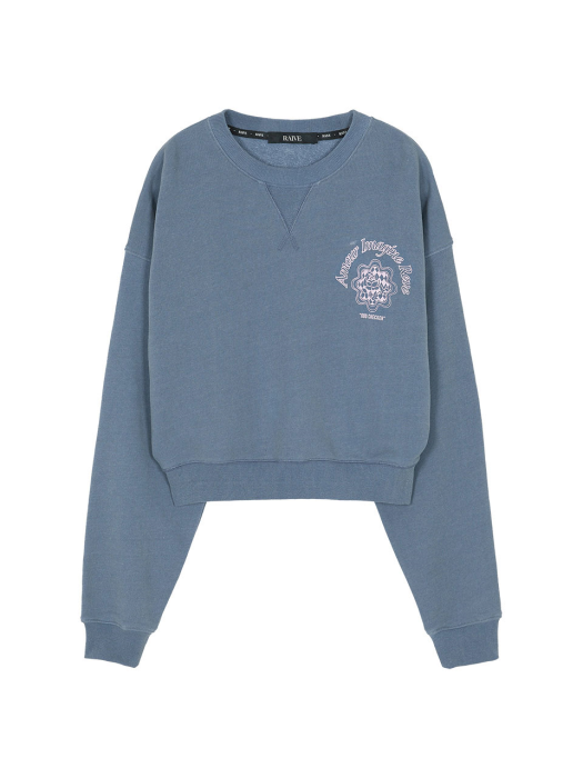 Rose Print Pigment Sweatshirt in Blue VW1WE142-22