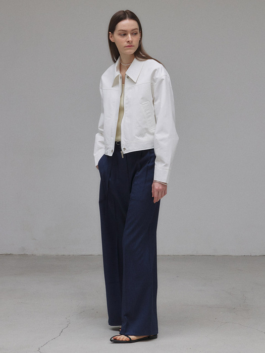 RAW WIDE PLEATED PANTS (BLUE)