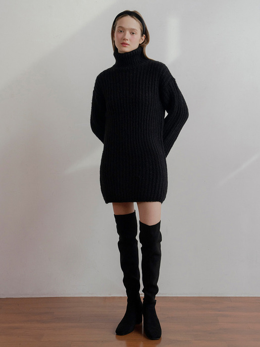 Alpaca High Neck Knit Dress_2Color