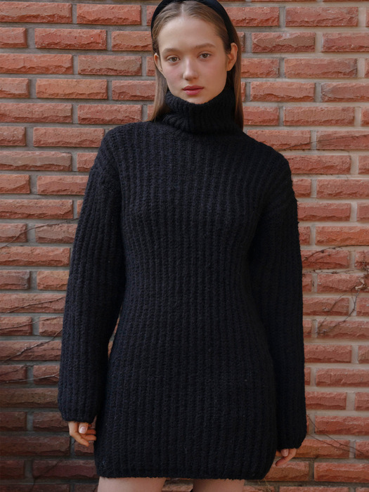 Alpaca High Neck Knit Dress_2Color