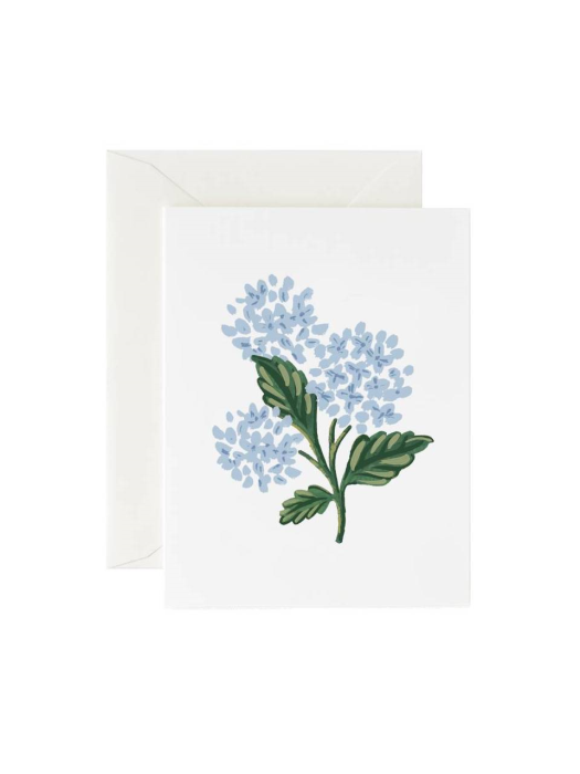 라이플페이퍼 Hydrangea Bloom Card 일상 카드