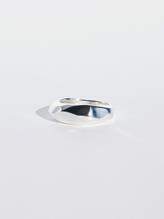 17fw collection ring3