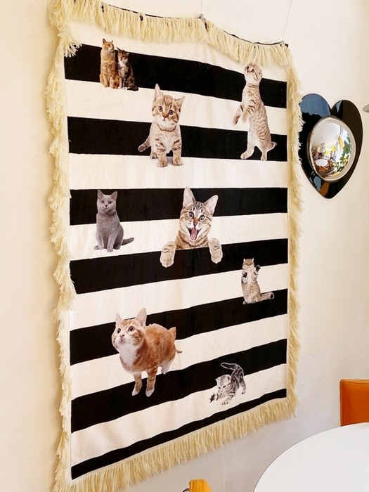 Love cat stripe blanket