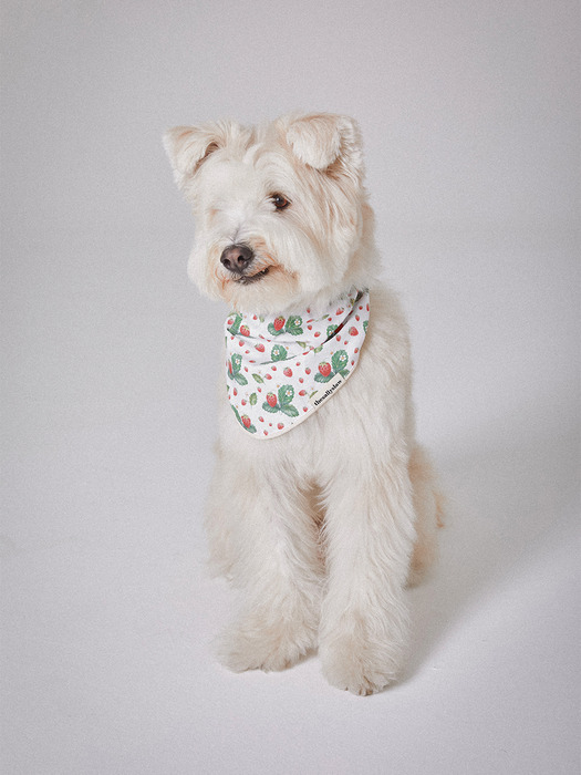 Green leaf strawberry bandana