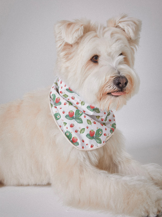 Green leaf strawberry bandana