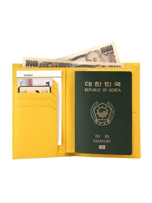 Easysafe Flap It Passport Wallet Mirror Blue