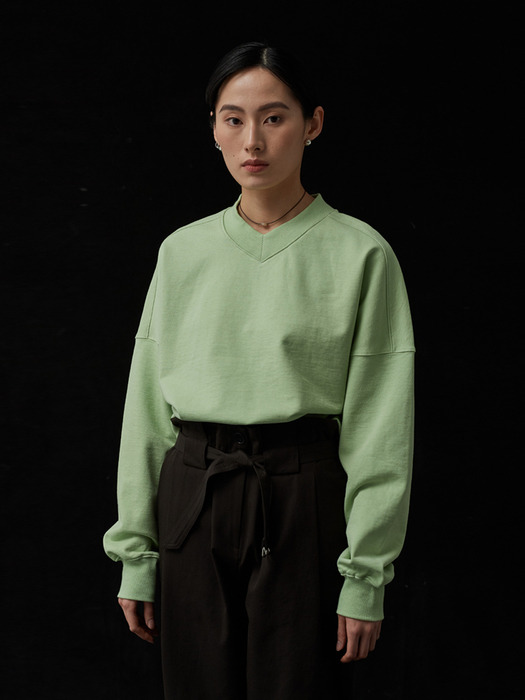 Stand col sweatshirt (Light green)