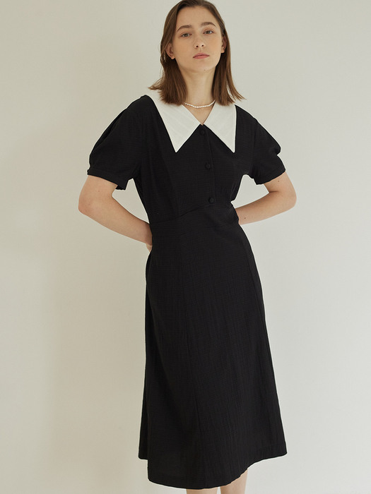 Flat Collar Flare Dress 2 Color