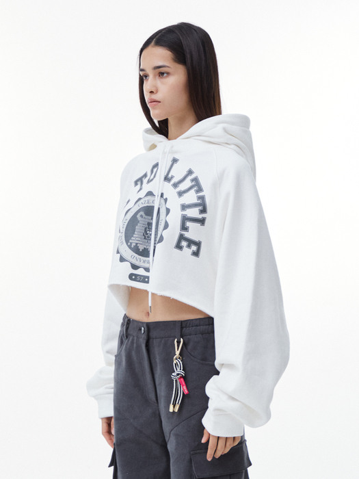 College Bear Crop Hoodie (White)