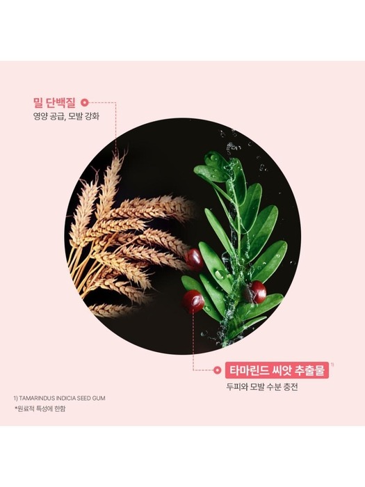 토뉘시아 플럼핑 마스크 250ml