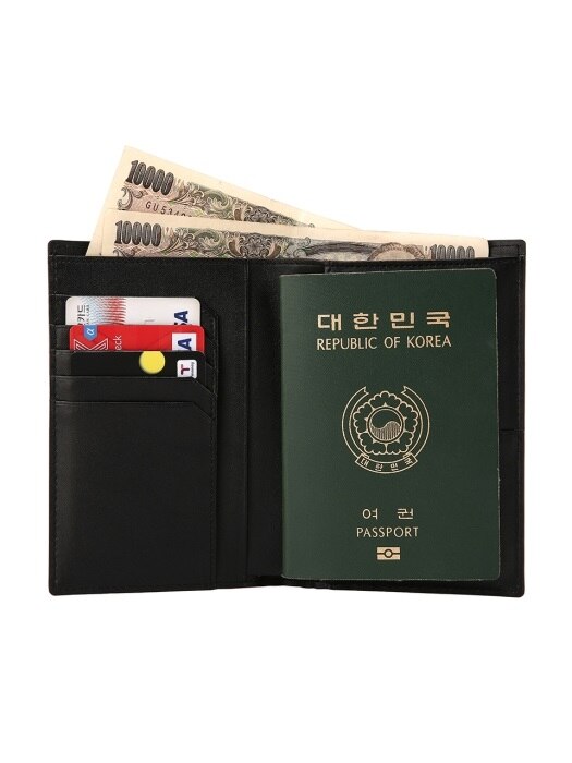 Easysafe Flap It Passport Wallet Mirror Black