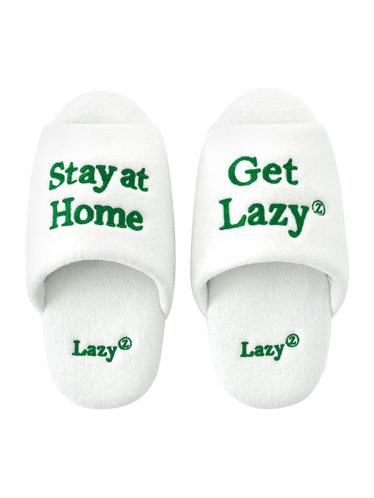 Stay Open Toe Room Shoes