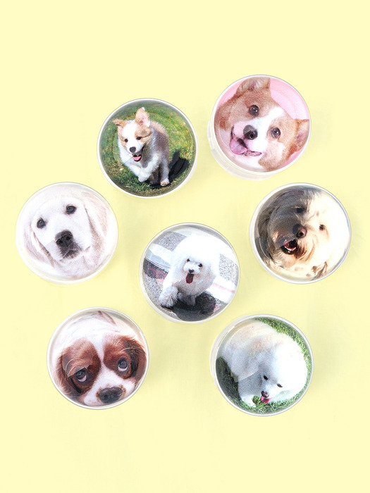 그립톡 반구 강아지 정품 핸드폰 그립톡 (7color)