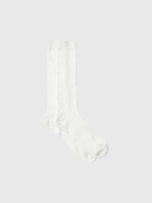 에블린 니삭스 / EBLIN KNEE SOCKS_3colors