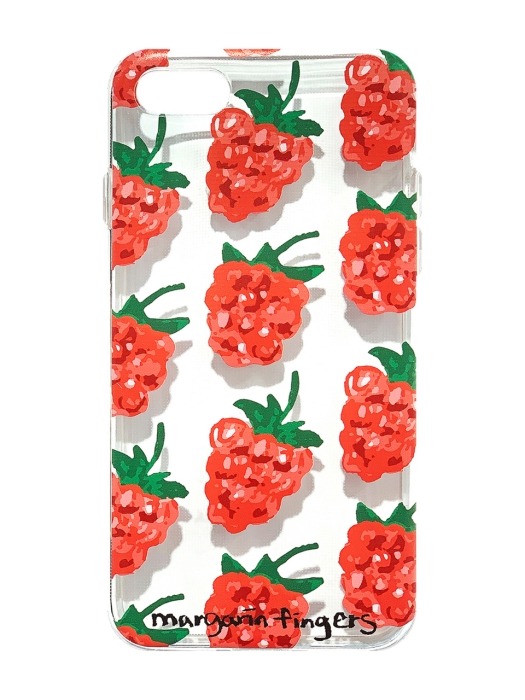 raspberry case