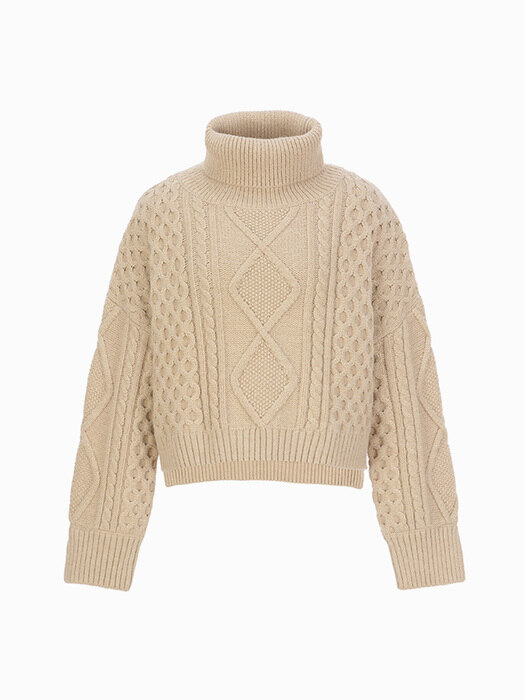 Dana Overfit Turtle-neck Knit Top (Beige)