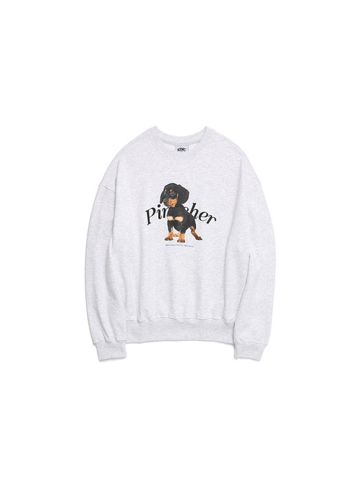 LITTLE PINSCHER ARCH LOGO SWEATSHIRT MELANGE (RATS720C) 