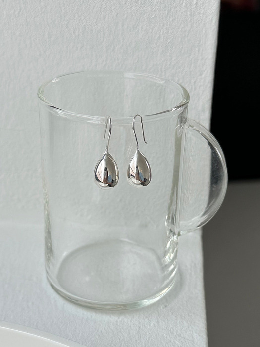 [silver925] nut hook earring