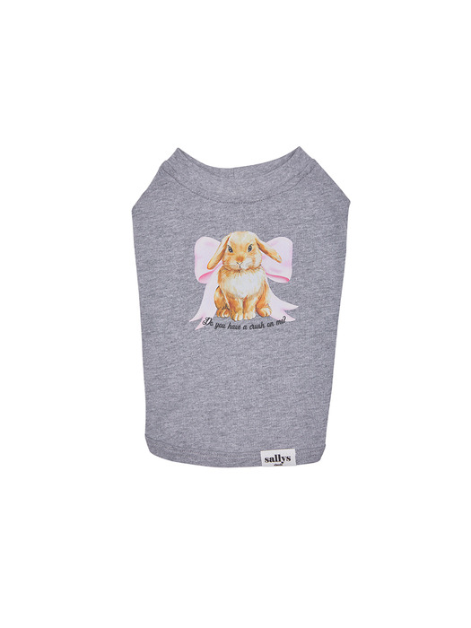 Love bunny T shirts (gray)