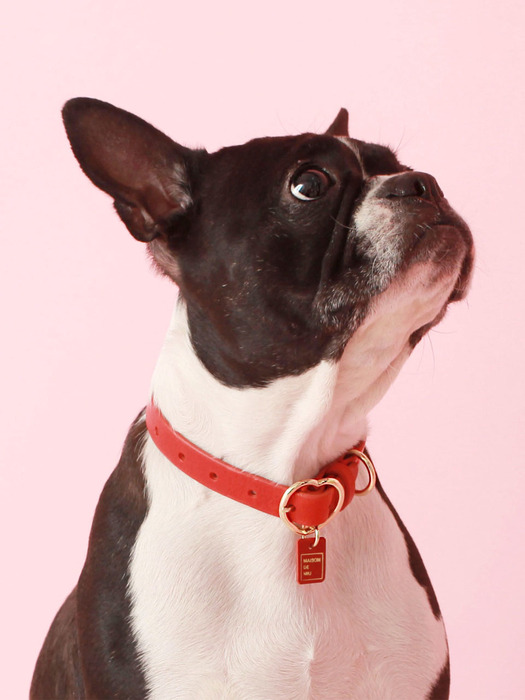 Heart Pendant Collar_Red