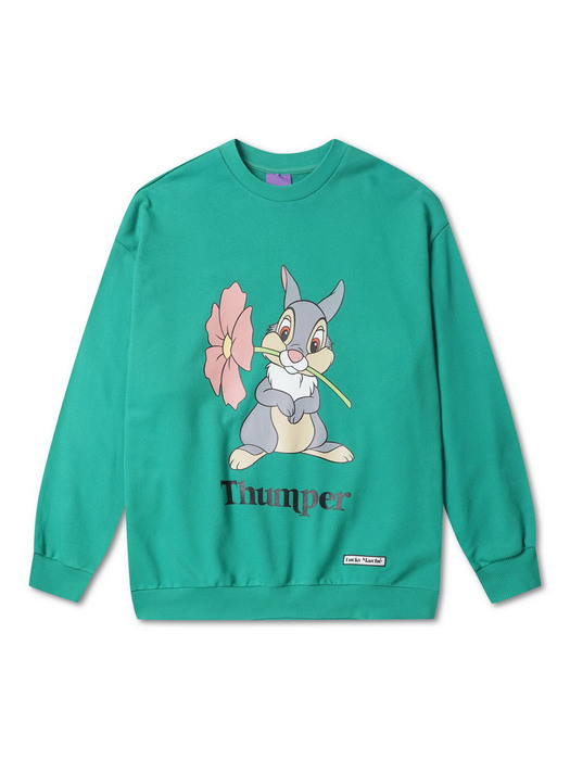 Disney Thumper Oversized Sweatshirt_QUTAX21820GRX