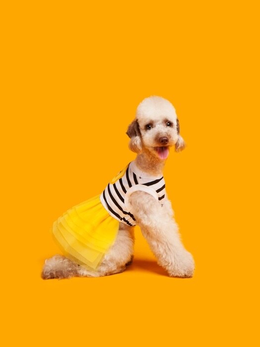 Stripe tutu-Yellow