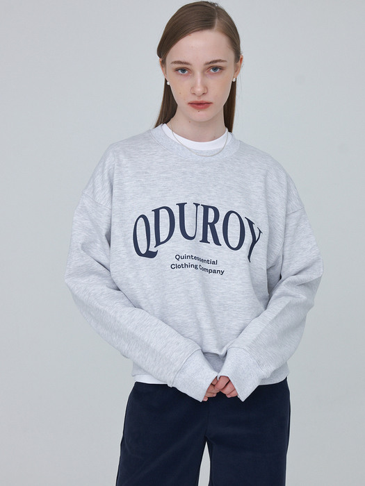 Arc QDUROY Sweatshirt - Grey