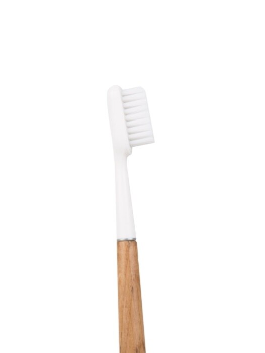 Brosse &agrave; dents Caliquo en ch&ecirc;ne (전나무)