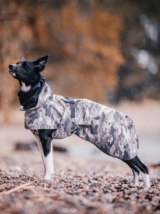 Recovery Raincoat Camo for Dogs (강아지 반사 우비)