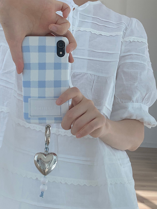 Present series : Blue check phone case