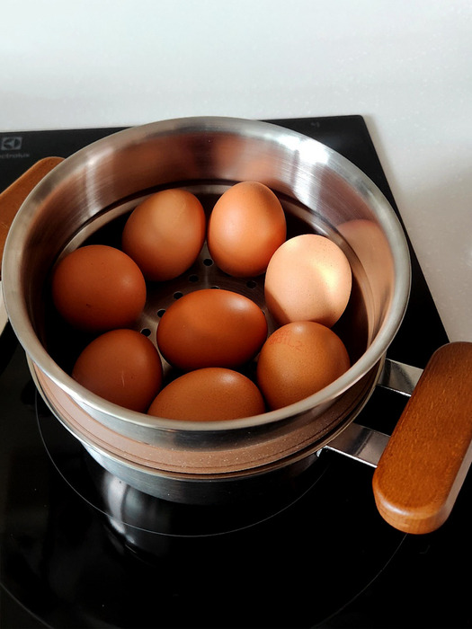 에비히슈테른 레카 통삼중 인덕션 냄비 우드핸들 미니찜 (16cm 편수, 16cm 양수) 택1