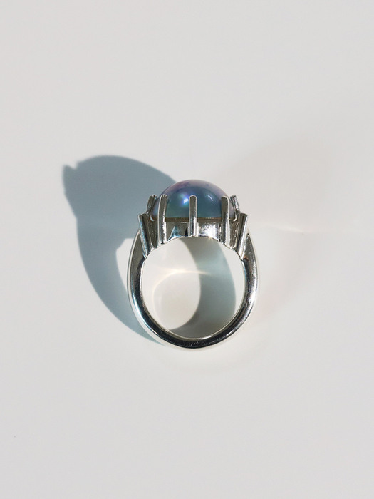 shell ring 016