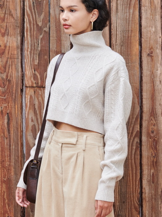 Wool Cropped Turtle Neck