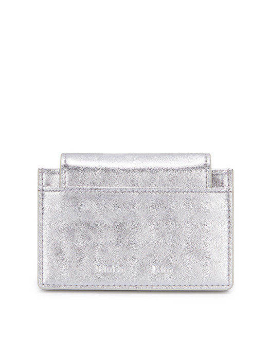 ACCORDION WALLET IN SILVER