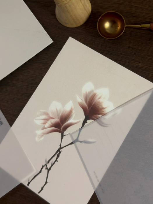 Flower letter set_Magnolia