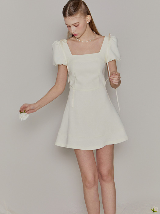 Esteri velvet dress(2colors)