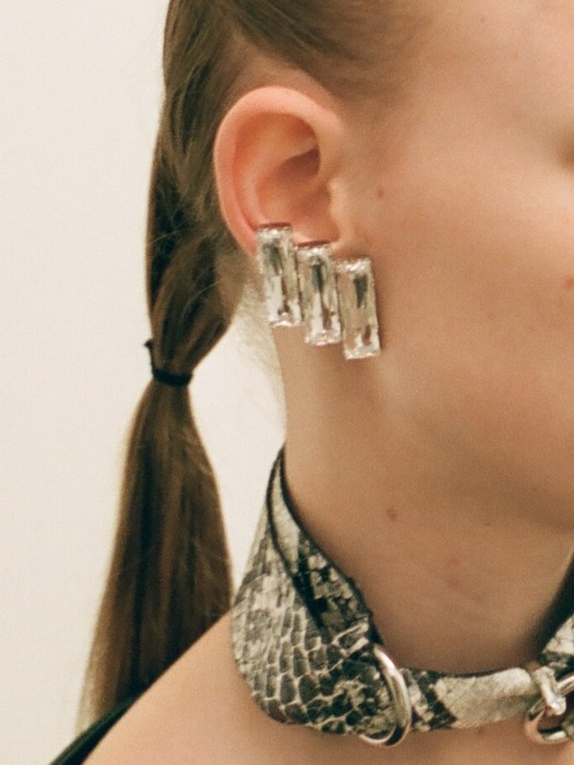 scales piece earrings