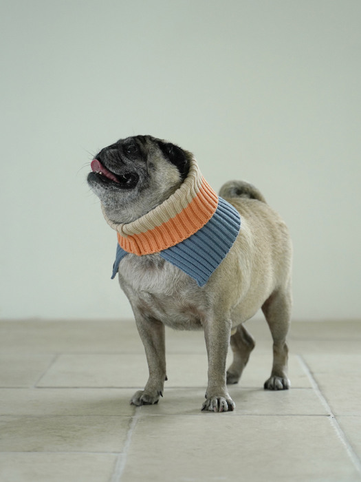 Schnee Neck Warmer - Salmon